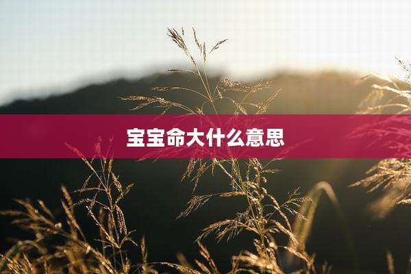 宝宝命大什么意思