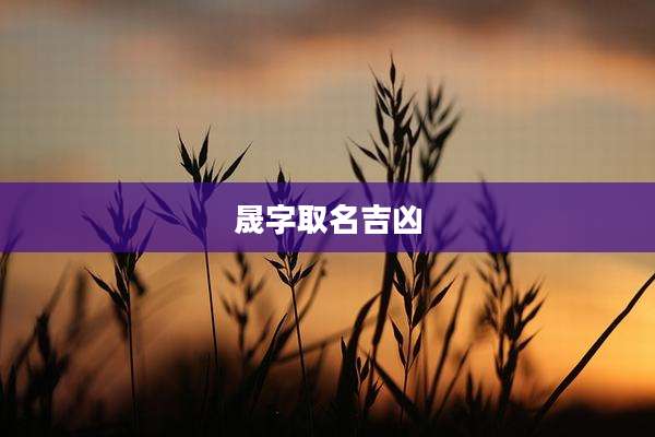 晟字取名吉凶
