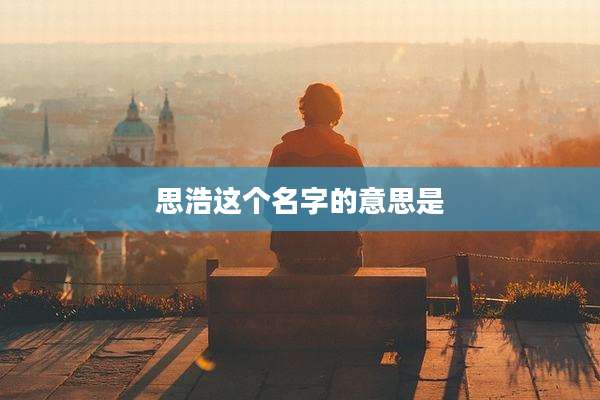 思浩这个名字的意思是