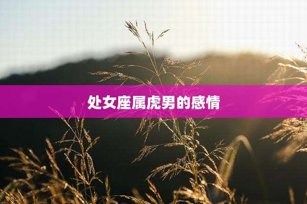 处女座属虎男的感情