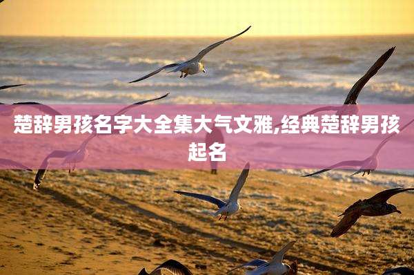 楚辞男孩名字大全集大气文雅,经典楚辞男孩起名