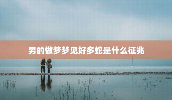 男的做梦梦见好多蛇是什么征兆