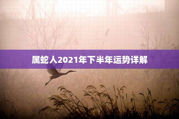 属蛇人2021年下半年运势详解