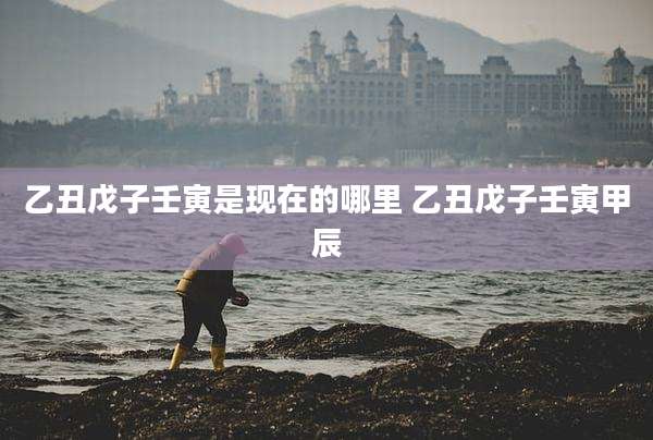 乙丑戊子壬寅是现在的哪里 乙丑戊子壬寅甲辰