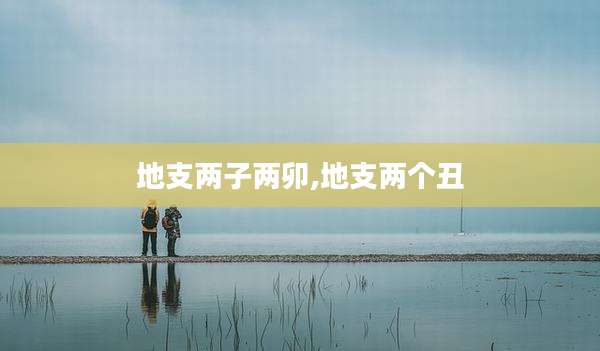 地支两子两卯,地支两个丑