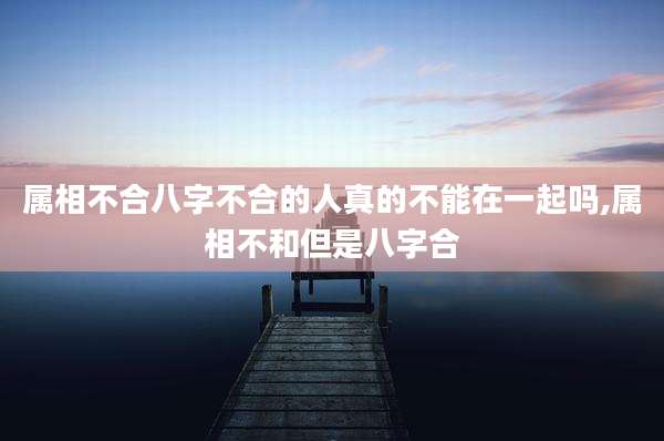 属相不合八字不合的人真的不能在一起吗,属相不和但是八字合
