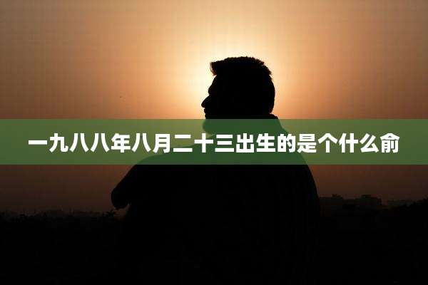 一九八八年八月二十三出生的是个什么俞