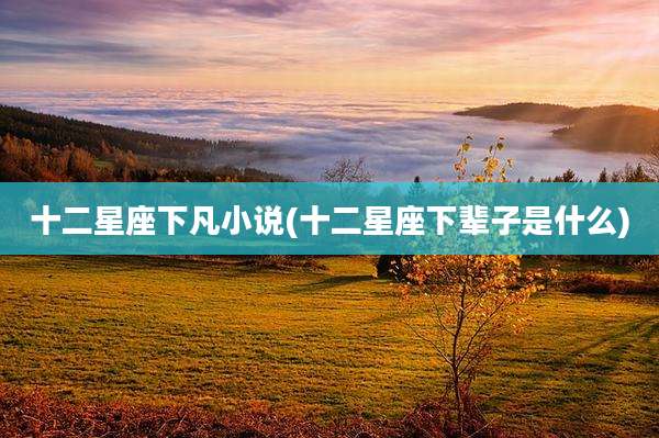 十二星座下凡小说(十二星座下辈子是什么)