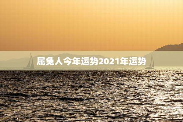属兔人今年运势2021年运势