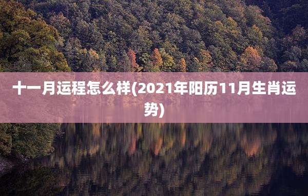 十一月运程怎么样(2021年阳历11月生肖运势)