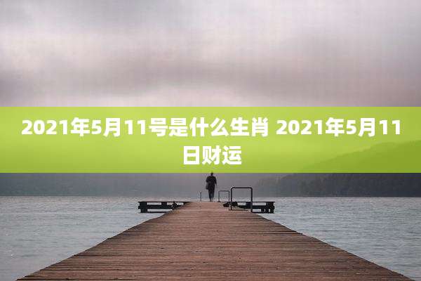 2021年5月11号是什么生肖 2021年5月11日财运