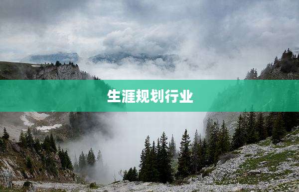 生涯规划行业