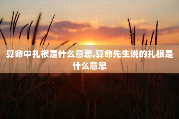 算命中扎根是什么意思,算命先生说的扎根是什么意思