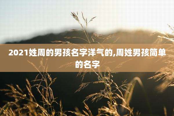 2021姓周的男孩名字洋气的,周姓男孩简单的名字