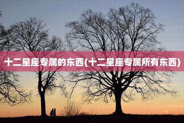 十二星座专属的东西(十二星座专属所有东西)