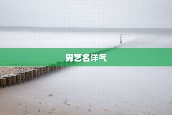 男艺名洋气