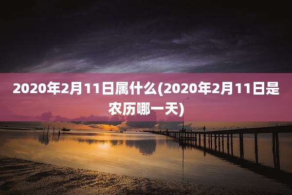 2020年2月11日属什么(2020年2月11日是农历哪一天)