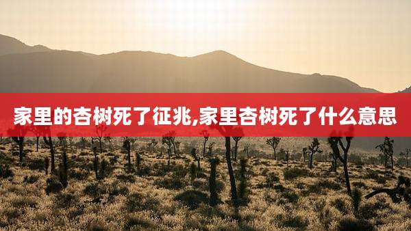 家里的杏树死了征兆,家里杏树死了什么意思