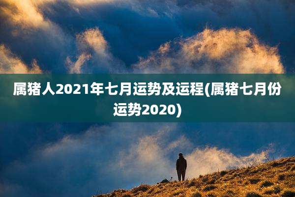 属猪人2021年七月运势及运程(属猪七月份运势2020)