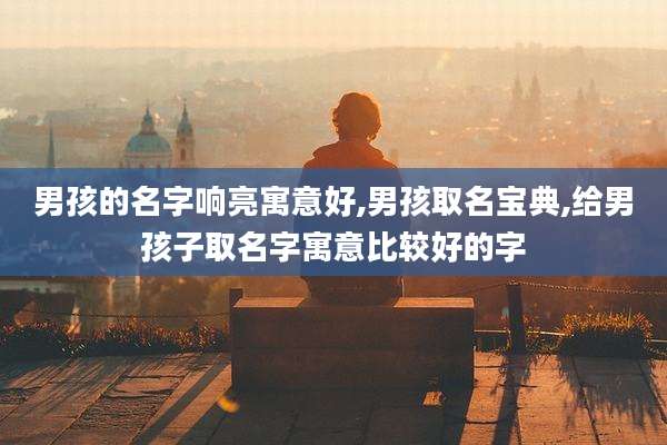 男孩的名字响亮寓意好,男孩取名宝典,给男孩子取名字寓意比较好的字