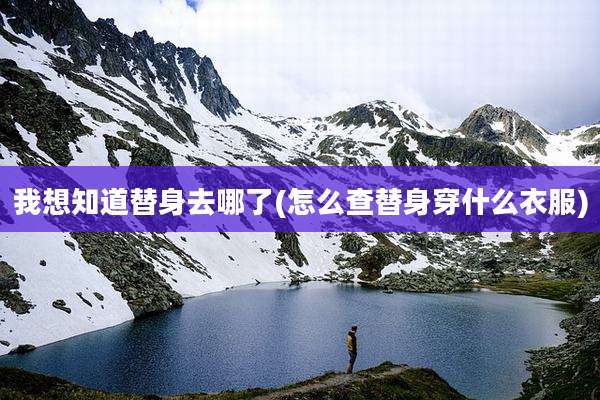 我想知道替身去哪了(怎么查替身穿什么衣服)