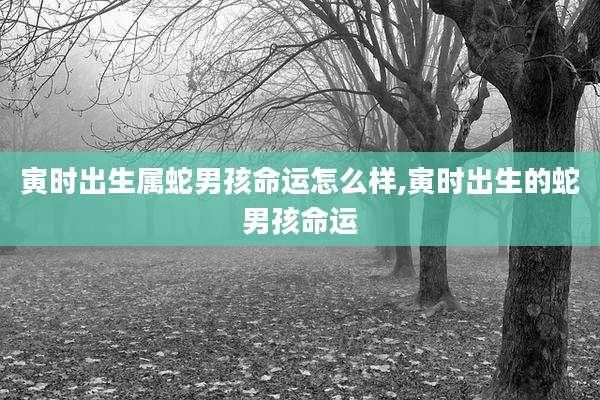 寅时出生属蛇男孩命运怎么样,寅时出生的蛇男孩命运