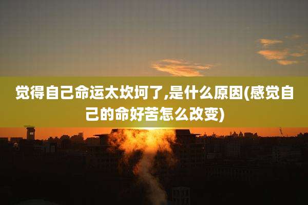 觉得自己命运太坎坷了,是什么原因(感觉自己的命好苦怎么改变)