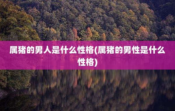 属猪的男人是什么性格(属猪的男性是什么性格)
