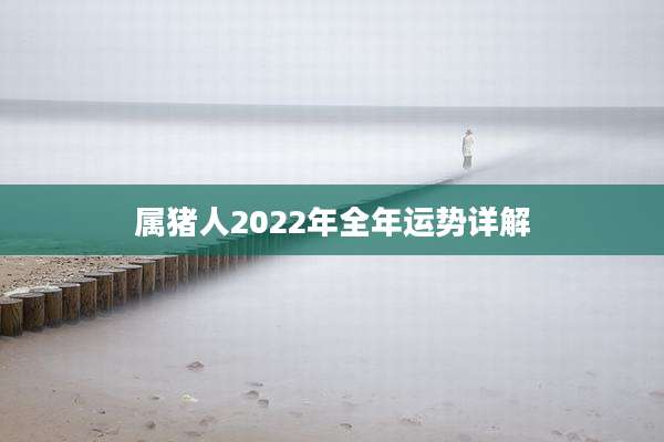 属猪人2022年全年运势详解