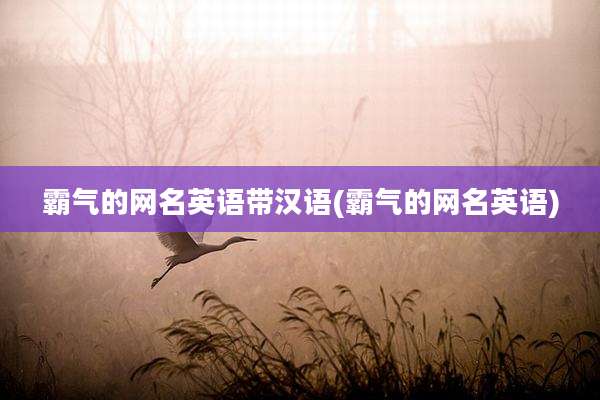 霸气的网名英语带汉语(霸气的网名英语)