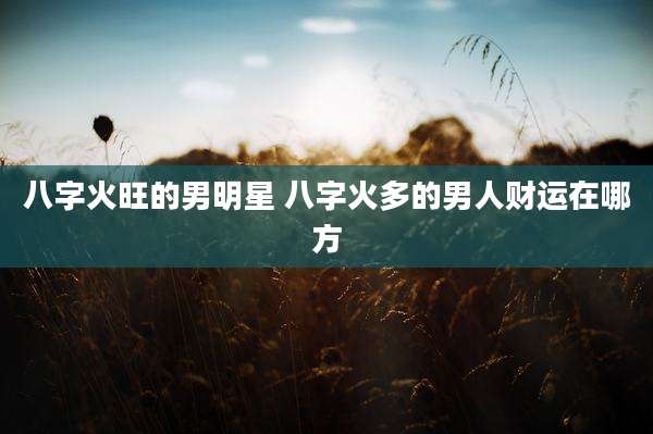 八字火旺的男明星 八字火多的男人财运在哪方