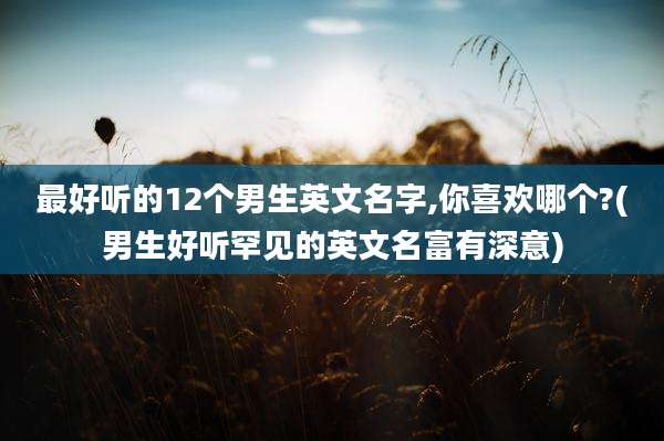 最好听的12个男生英文名字,你喜欢哪个?(男生好听罕见的英文名富有深意)