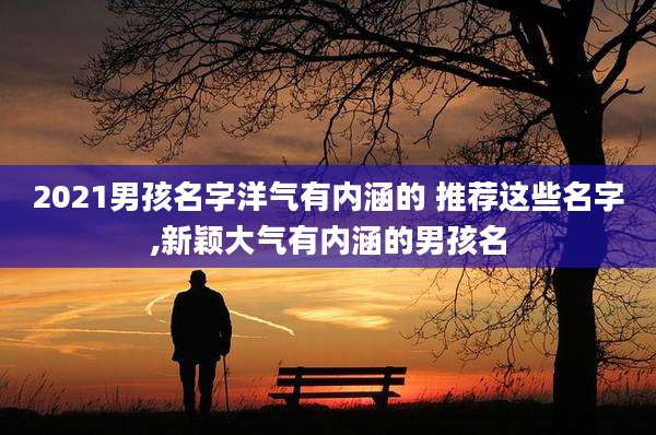 2021男孩名字洋气有内涵的 推荐这些名字,新颖大气有内涵的男孩名