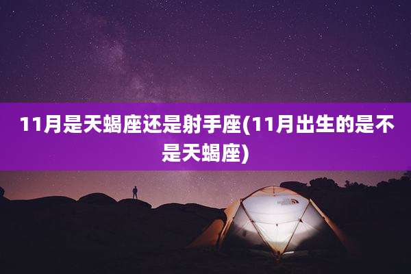 11月是天蝎座还是射手座(11月出生的是不是天蝎座)