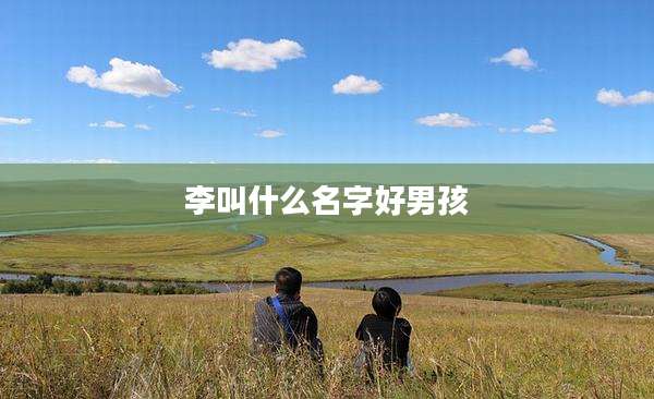 李叫什么名字好男孩