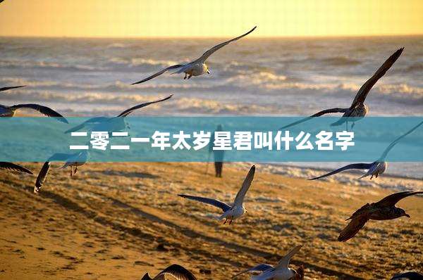 二零二一年太岁星君叫什么名字