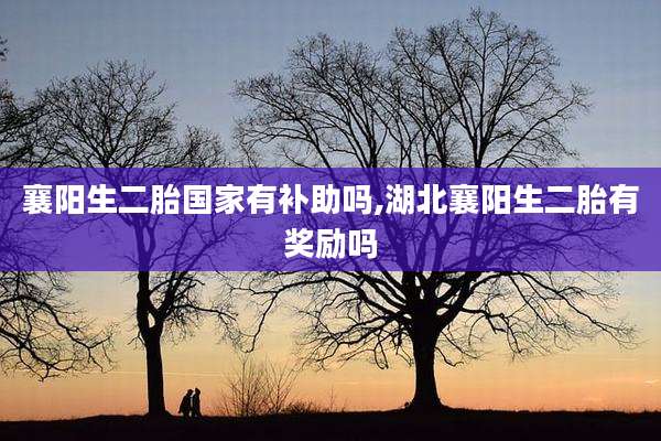 襄阳生二胎国家有补助吗,湖北襄阳生二胎有奖励吗