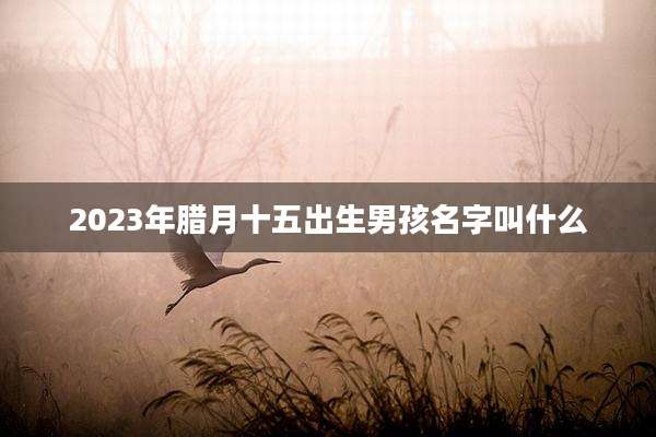 2023年腊月十五出生男孩名字叫什么
