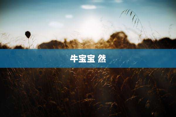 牛宝宝 然