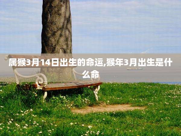 属猴3月14日出生的命运,猴年3月出生是什么命