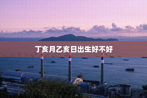 丁亥月乙亥日出生好不好