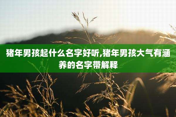 猪年男孩起什么名字好听,猪年男孩大气有涵养的名字带解释