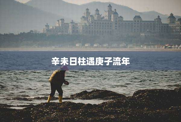 辛未日柱遇庚子流年