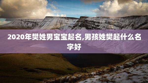 2020年樊姓男宝宝起名,男孩姓樊起什么名字好