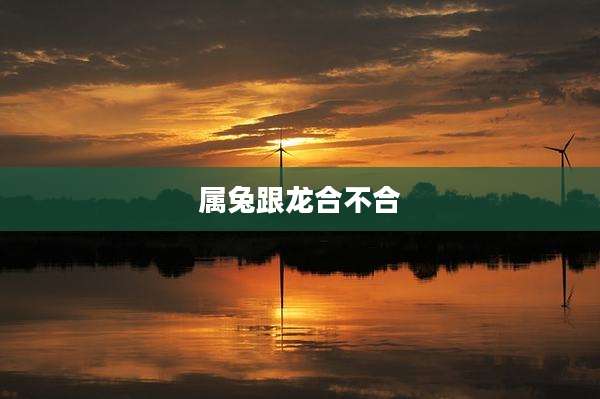 属兔跟龙合不合