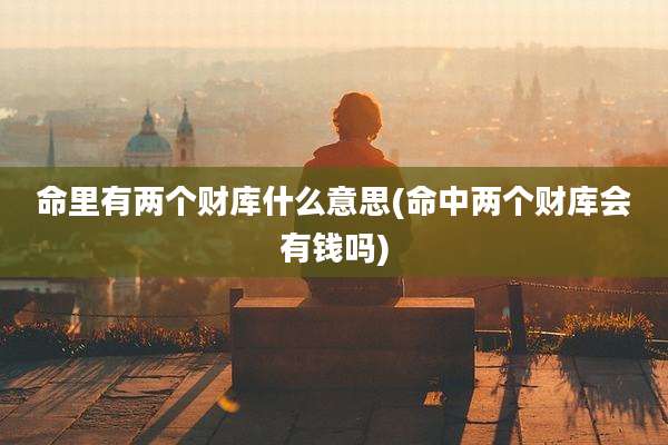 命里有两个财库什么意思(命中两个财库会有钱吗)