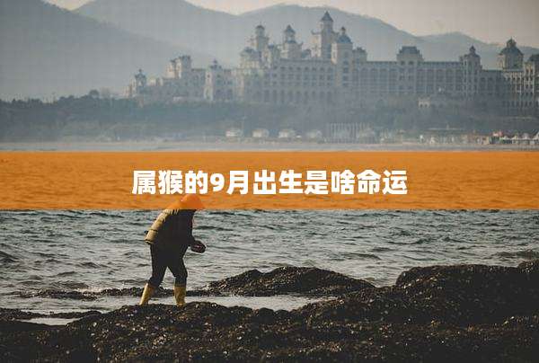 属猴的9月出生是啥命运