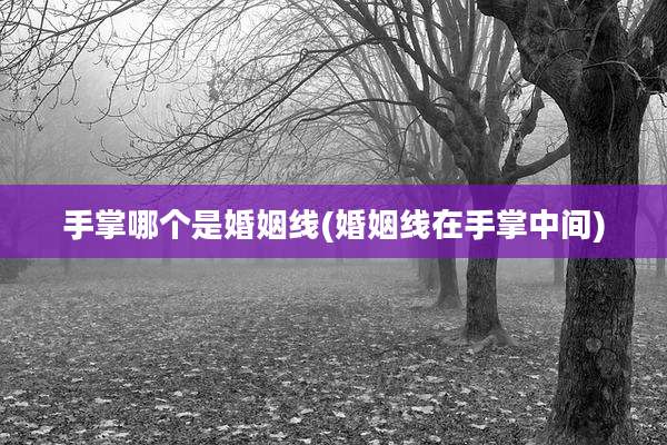 手掌哪个是婚姻线(婚姻线在手掌中间)