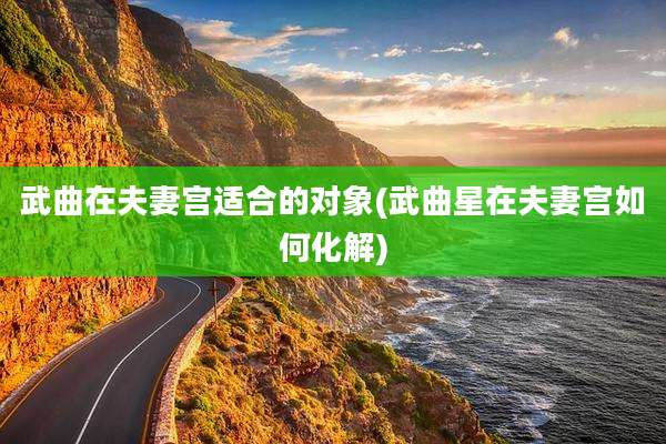 武曲在夫妻宫适合的对象(武曲星在夫妻宫如何化解)
