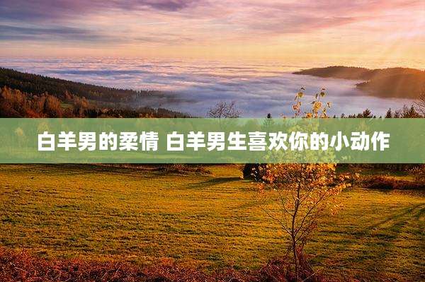 白羊男的柔情 白羊男生喜欢你的小动作